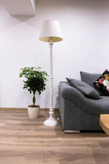 Le Logis D'Alsace, Wifi,Tv,Parking,70 M2 Apartman Ettendorf Kültér fotó